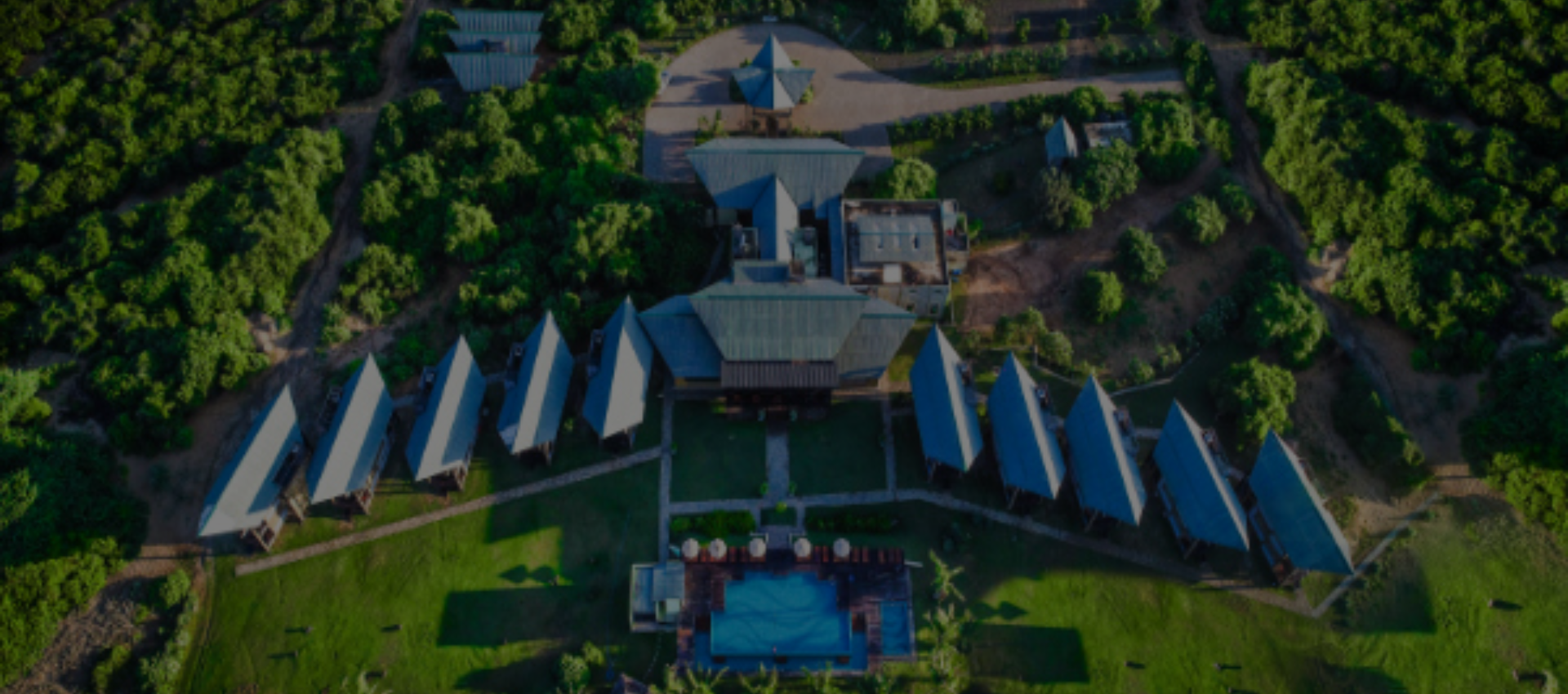 Laya Safari Banner 1