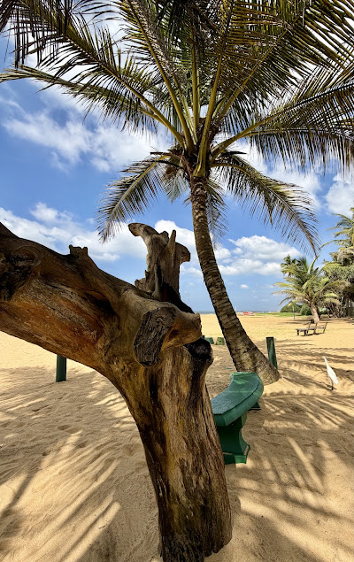 Beach area sit 