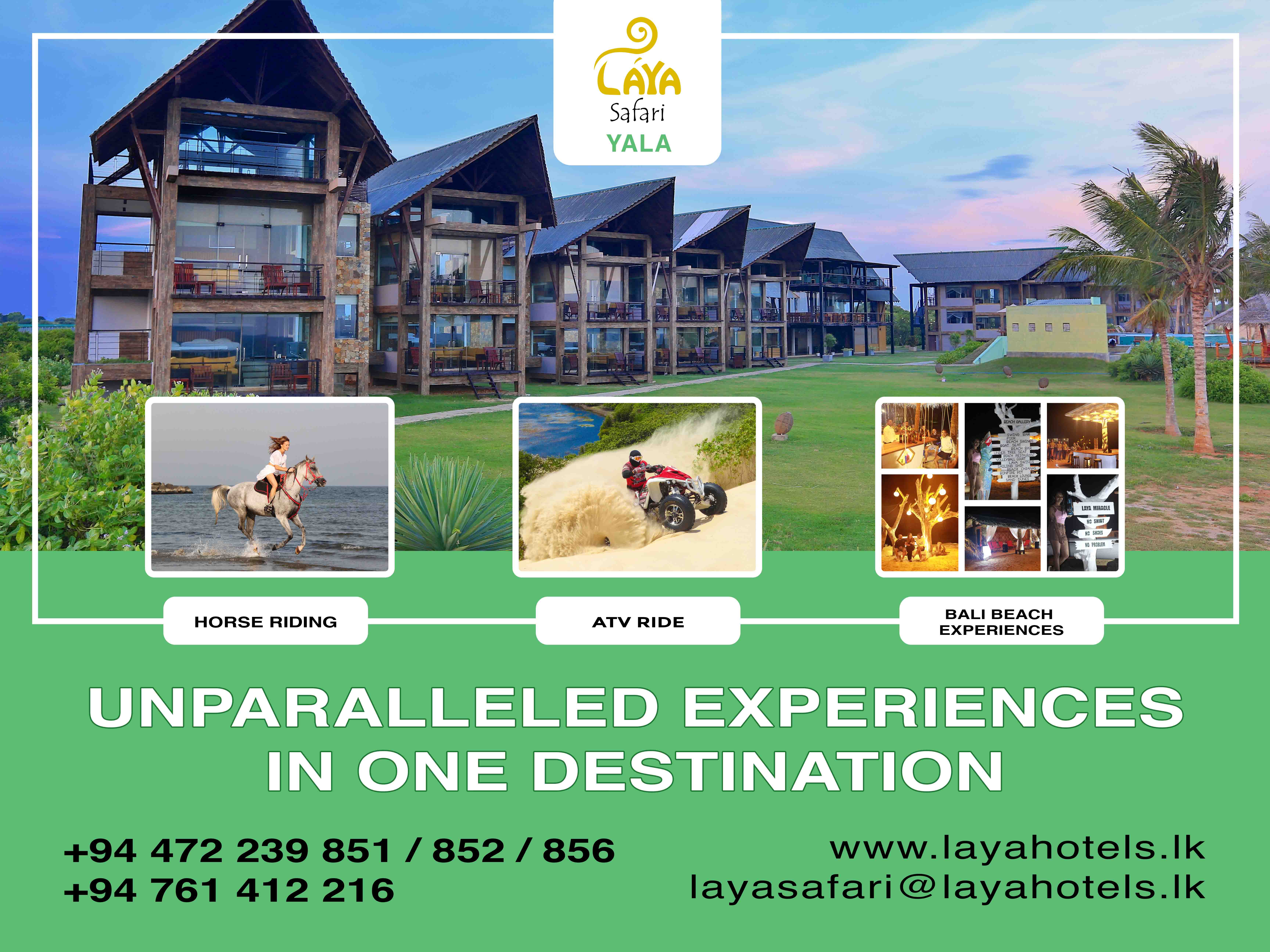 Laya safari banner 